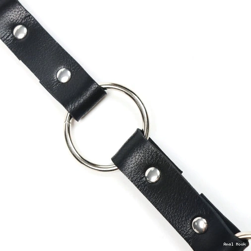 EverydayUse Hook 5853 Collar Leash Anal and Kinky with 0313